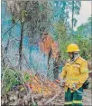  ??  ?? Acción. Bomberos luchando contra el fuego en la selva de Brasil.
