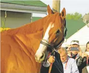  ?? GARRY JONES/ASSOCIATED PRESS ?? Kentucky Derby winner Justify checks out the crowd Sunday at Churchill Downs in Louisville, Ky. Trainer Bob Baffert will be seeking his record-tying seventh Preakness victory.