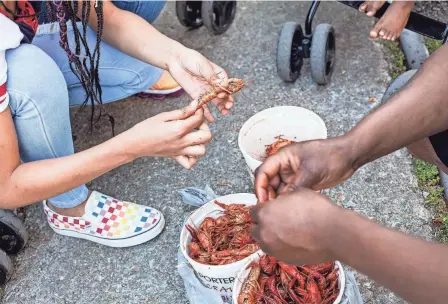  ?? BRAD VEST/THE COMMERCIAL APPEAL ?? 17,000 pounds of fresh, spicy Louisiana crawfish were served during the 27th annual Rajun Cajun Crawfish Festival in Downtown Memphis on April 28, 2019. This year’s festival is on April 21.