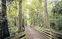  ?? PATRICK CONNOLLY/ORLANDO SENTINEL ?? A mile of raised boardwalk helps visitors get around at Lake Lotus Park in Altamonte Springs.