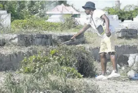  ?? (Photo: Karl Mclarty) ?? In this 2023 file photo, a resident points to the bush which was growing wild in the May Pen Cemetery. This is one of the areas designated for clean-up by the Seventh-day Adventist Church Central Jamaica Conference through its Operation Save A Youth (OSAY) initiative.