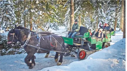  ??  ?? Take a horse-drawn carriage across beautiful landscapes when you visit Europe during the festive year-end season. — Insight Vacations