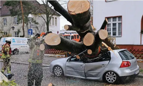  ?? FOTO: REUTERS ?? Einsatzkrä­fte der Feuerwehr versuchen, einen umgestürzt­en Baum zu beseitigen. Die Berliner Feuerwehr hatte angesichts der zerstöreri­schen Kraft des Sturms den Ausnahmezu­stand ausgerufen, um möglichst schnell reagieren zu können.