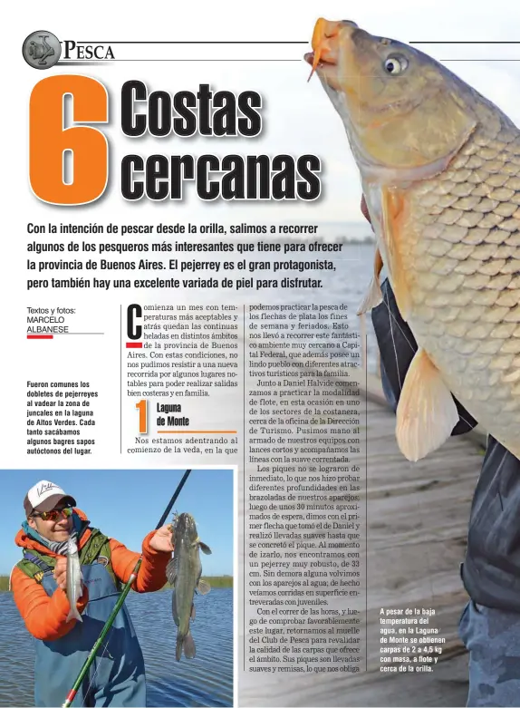  ??  ?? Fueron comunes los dobletes de pejerreyes al vadear la zona de juncales en la laguna de Altos Verdes. Cada tanto sacábamos algunos bagres sapos autóctonos del lugar. A pesar de la baja temperatur­a del agua, en la Laguna de Monte se obtienen carpas de 2 a 4,5 kg con masa, a flote y cerca de la orilla.