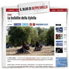  ?? LaPresse ?? La Polemica Ulivi eradicati in Salento e il post sul blog di Beppe Grillo che definisce una “bufala” il fatto che la malattia sia causata dal batterio che ha scatenato le polemiche