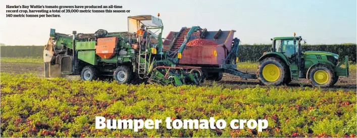  ?? ?? Hawke’s Bay Wattie’s tomato growers have produced an all-time record crop, harvesting a total of 39,000 metric tonnes this season or 140 metric tonnes per hectare.