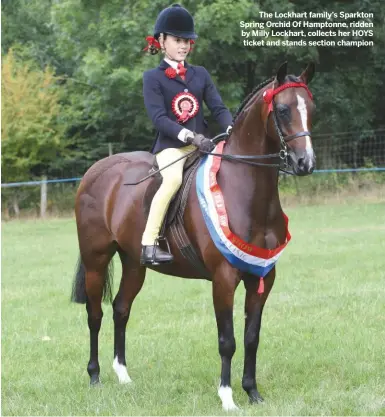  ??  ?? The Lockhart family’s Sparkton Spring Orchid Of Hamptonne, ridden by Milly Lockhart, collects her HOYS ticket and stands section champion