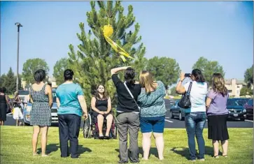  ?? Kent Nishimura
Denver Post ?? ASHLEY MOSER, who was paralyzed in the shooting and also lost her unborn child during surgery to save her life, poses last summer by a tree dedicated to her 6-year-old daughter, Veronica Moser-Sullivan.