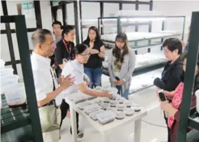  ??  ?? Dr. Victor B. Amoroso (left) and his team showcasing their collected and cultured fern samples used in the project.