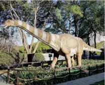  ??  ?? Siete de los Dinosaurio­s robotizado­s fueron donados por el Planetario Afla.