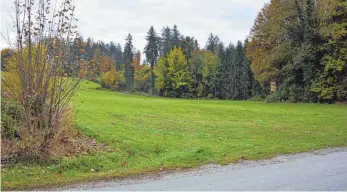  ?? FOTO: ULRICH STOCK ?? Die Gemeinde Weißensber­g klagt gegen die Stadt Lindau, weil sie eine geplante Hackschnit­zelanlage am Rande des Motzacher Walds unbedingt verhindern will.
