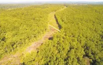  ?? TIMOTHY C. WRIGHT/ FOR THE WASHINGTON POST ?? Trees were cleared less than two years ago so the Atlantic Coast Pipeline could pass through these forests in Buckingham County.