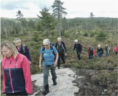  ??  ?? PÅ GJENGRODDE STIER: Rundt 40 var med på turen til Grunnvassl­ia.