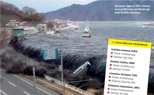  ??  ?? Tsunamin i Japan år 2011 utlöstes av en jordbävnin­g och dödade upp emot 18 000 människor.