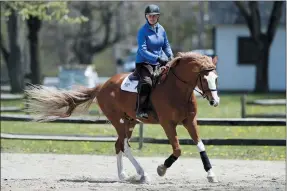  ?? TONY DEJAK — THE ASSOCIATED PRESS ?? Carol Lewis gallops her horse, Eli, May 5 at the Chagrin Valley Hunt Club in Gates Mills.