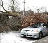  ?? DAVE KILLEN / THE OREGONIAN ?? A parked car is damaged from a fallen tree Saturday in southeast Portland, Ore. The Portland area saw high winds and temperatur­es in the teens. Downed trees caused damage and power outages around the region.