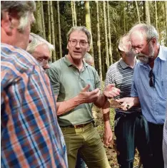  ??  ?? Forstexper­te Ralf Gang (Mitte) erklärt den Privatwald Besitzern im Waldstück bei Buch, anhand welcher Merkmale die Käfer auszumache­n sind.