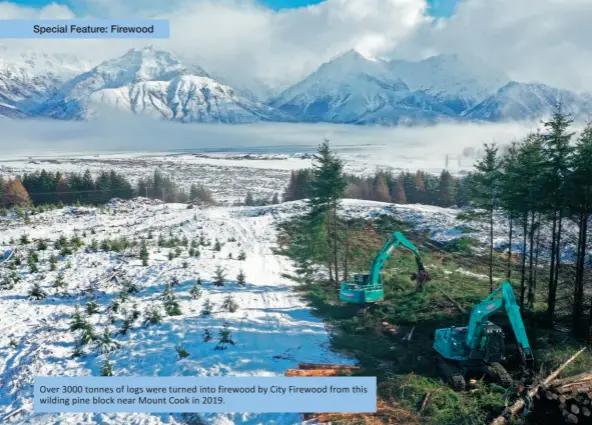  ??  ?? Over 3000 tonnes of logs were turned into firewood by City Firewood from this wilding pine block near Mount Cook in 2019.