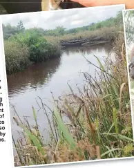  ?? ?? Photo shows an area covered by Iskandar’s crabcatchi­ng team, which has abundant supply of mud crabs but is also inhabited by crocodiles.