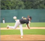  ?? New Britain Bees ?? The New Britain Bees’ Brendan Kirck was a Notre Dame-West Haven standout who now pitches at Springfiel­d College. Kirck pitched for Bees manager Ray Guarino with the Hamden American Legion Post 88 team.