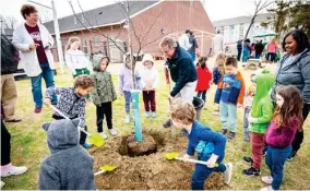  ?? ?? MSU College of Forest Resources Dean Wes Burger plants a redbud tree with children from the university’s Child Developmen­t and Family Studies Center. (Photo by David Ammon, MSU)