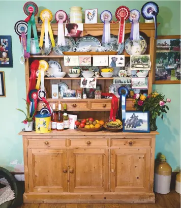  ??  ?? A proper working dresser: Caroline Payne’s bears plates, rosettes and cards