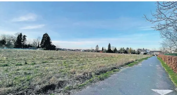  ?? FOTO: RICHTERS ?? Bisher wird die Fläche zwischen Stationswe­g und Hamerweg landwirtsc­haftlich genutzt, hier vom Thomassenw­eg aus gesehen. Auf diesem Areal soll ein Wohngebiet entstehen.