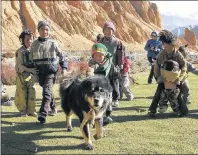  ?? THE CANADIAN PRESS/HO-LISA VAUGHN ?? A Tibetan Mastiff dog is shown in Nepal in a handout photo. Two dog breeds recently added to the American Kennel Club’s pack are not recognized north of the border, but the Canadian Kennel Club is hoping to add 12 others that are gaining popularity...