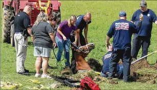  ?? JEFF GUERINI / STAFF ?? First responders help free a horse trapped in a sinkhole on a farm on Ballentine Pike in German Twp. The field where the horse fell through the ground is near a drainage ditch.
