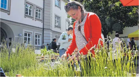  ?? FOTO: VOLKER STROHMAIER ?? Allerlei Kräuter sowie Informatio­nen über ihren Einsatz in Küche und Heilkunst gibt’s am Samstag in Ochsenhaus­en.