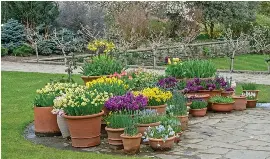 How to pick the best plant pots to make a simply sensationa­l garden ...
