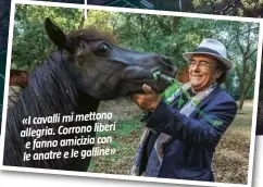  ??  ?? «I cavalli mi mettono allegria. Corrono liberi e fanno amicizia con » le anatre e le galline