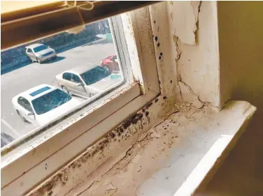  ?? TAMEKA WRIGHT/COURTESY PHOTOS ?? Tameka Wright, a public housing resident in the Robinwood community, was relocated with her eight children out of her fivebedroo­m unit on Feb. 13 after Annapolis housing inspectors deemed the unit uninhabita­ble because of mold.