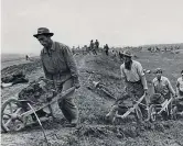  ?? (Foto museo di Mirabello) ?? Al lavoro Operai agricoli al lavoro con le carriole (gli «scarriolan­ti») per le bonifiche in Romagna nel primo ’900