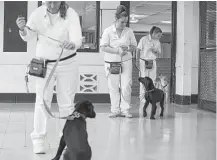  ??  ?? Stacy Brittain, right, and Banner, the service dog she’s training, join other Patriot Paws participan­ts and pups at a training event.