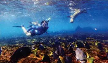  ??  ?? SURVIVAL OF THE FITTEST:
The stunning Galapagos islands, top. Above: A giant tortoise. Left: A diver has a close encounter with the marine life