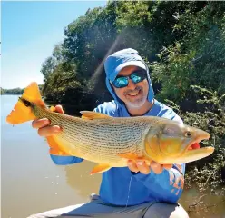  ??  ?? Dorados de excelentes portes también sucumbiero­n al encanto de las bolitas. Con streammers tradiciona­les cobramos tarariras y hasta dos rayas.