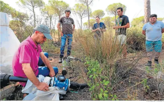  ?? JUAN MIGUEL CANTERLA ?? Regantes de Lucena del Puerto junto a uno de los pozos sellados en el entorno de Doñana.