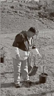  ?? Doug Walker / RN-T ?? Rome arborist Terry Paige inspects a tree waiting to be planted Friday as part of an infiltrati­on garden at Neel’s Landing on the Etowah River off U.S. 411. The planting was part of a joint Renew Our Rivers event with the Keep RomeFloyd and Keep Bartow...