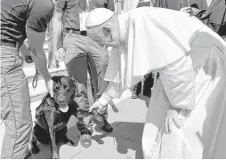  ?? Osservator­e Romano / AFP / Getty Images ?? Pope Francis shakes the paw of Leo, a Labrador that found a 4-year-child who had survived last month’s earthquake. The pope celebrated a jubilee for volunteers as a prelude to Mother Teresa’s canonizati­on Sunday.