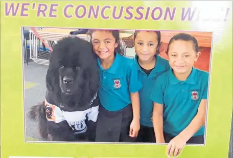  ??  ?? Camberley School students, from left, Sweeden Rangi-Puletaha, Mary Jane Isaako, Mark Lilo-Iosefo and their helper Kiana take part in the Hawke’s Bay Brain Injury Associatio­n’s concussion awareness programme.
