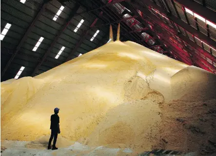  ?? DARIO PIGNATELLI/BLOOMBERG FILES ?? A worker stands next to a pile of raw sugar at a factory in Baan Rai, Thailand. Despite the U.S.-led push for freer trade that followed the Second World War, U.S. sugar protection­s have remained in place. U.S. prices are said to be twice those of the world market.