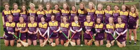  ??  ?? The Wexford Minor camogie squad whose All-Ireland championsh­ip has been discontinu­ed after playing three rounds.