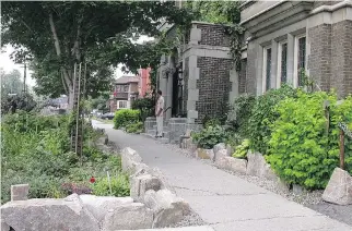  ??  ?? The urban garden in front of the Windsor Arms Apartments, lovingly maintained by Brown and McKinven, is a catalyst for camaraderi­e between residents and passersby.