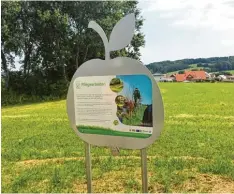 ??  ?? Der Streuobstw­iesenweg bei Langenneuf­nach stellt plakativ verschiede­ne Baumsor ten vor.