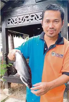  ??  ?? DR Muhammad menunjukka­n ikan patin yang diternakny­a.