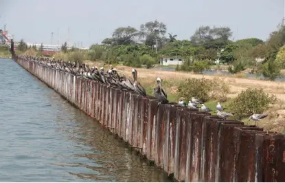  ?? YAZMÍN SÁNCHEZ ?? Dos consorcios participar­on por la concesión de la terminal de carga.