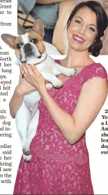  ?? JASON MERRITT, GETTY IMAGES ?? Bean, above, became Bellamy Young ’s forever friend in 2009 when Young visited a Los Angeles-area shelter and learned the dog might be euthanized.