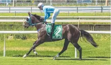  ?? Picture: Caught In The Act Photograph­y CQ ?? Shamedy wins on debut for trainer Graeme Green.