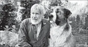  ?? 20TH CENTURY STUDIOS ?? Harrison Ford stars as John Thornton in the latest film version of Jack London’s “The Call of the Wild.” The dog, Buck, is a CGI creation.